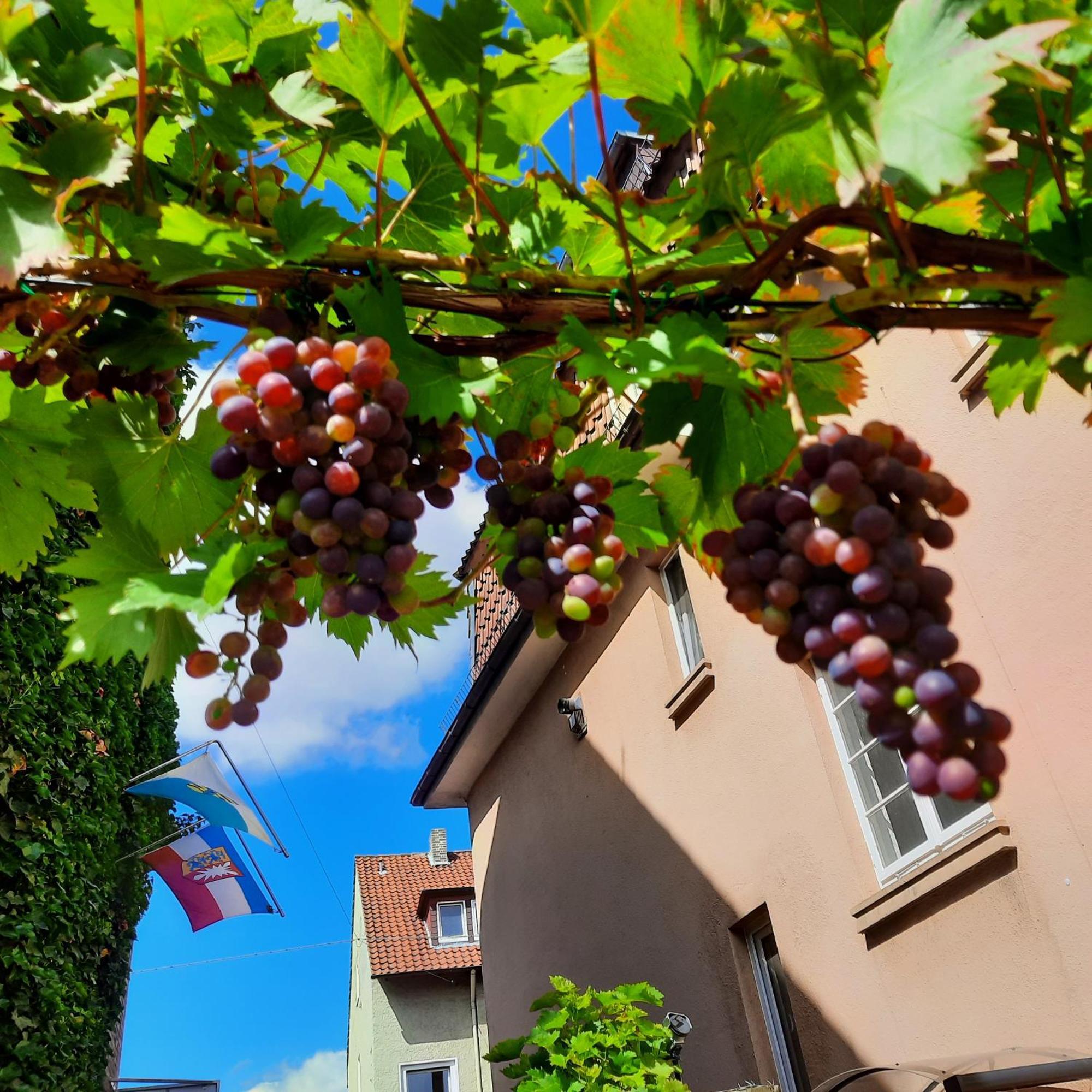 Apartamento Moltkestrasse 89 Hildesheim Exterior foto